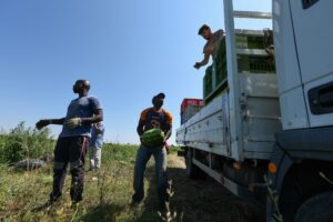 A Matera il sindacato importava clandestini