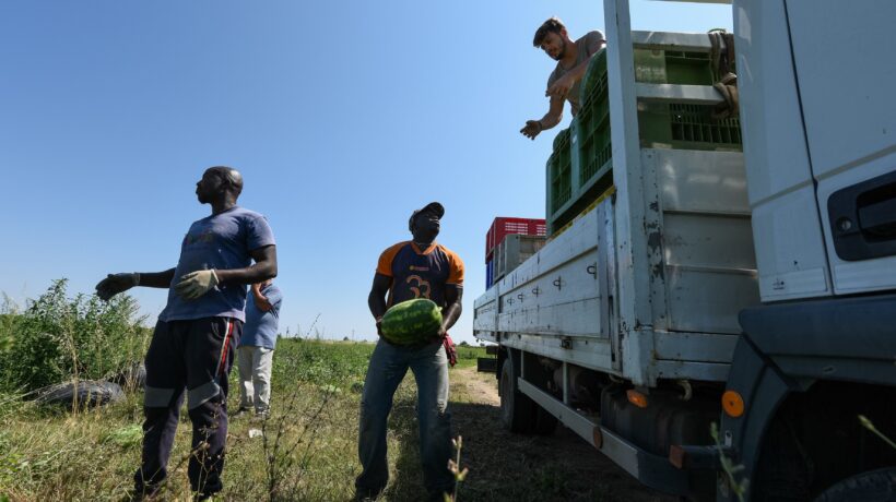 A Matera il sindacato importava clandestini