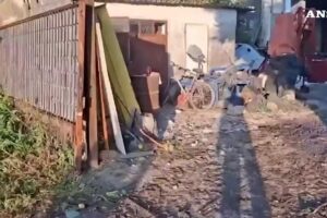 Il luogo dell’esplosione nel Veronese nelle immagini dei Carabinieri