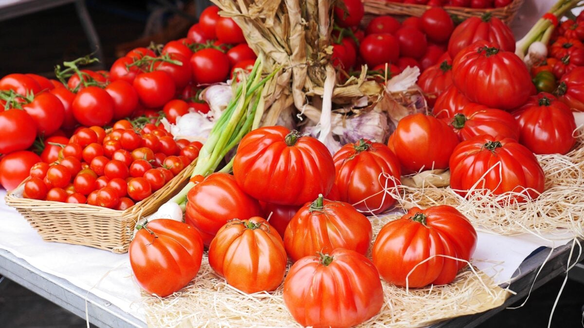 «Italia invasa dai pomodori cinesi. Ma che fine facciano è un mistero»