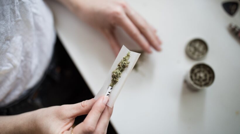 Bocciato il commercio della cannabis light