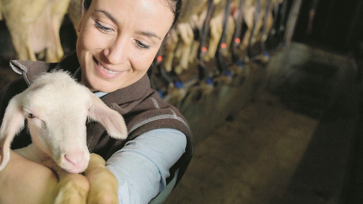 Altro che vegani: i primi veri animalisti sono gli allevatori