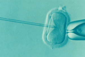 Quarant’anni fa la prima nascita da fecondazione artificiale: una data da festeggiare?