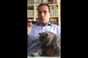 Cosa sarebbe accaduto se al posto della Lega ci fosse stato un sindacato?