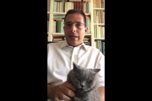La sinistra non faccia la verginella sulla lottizzazione della Rai