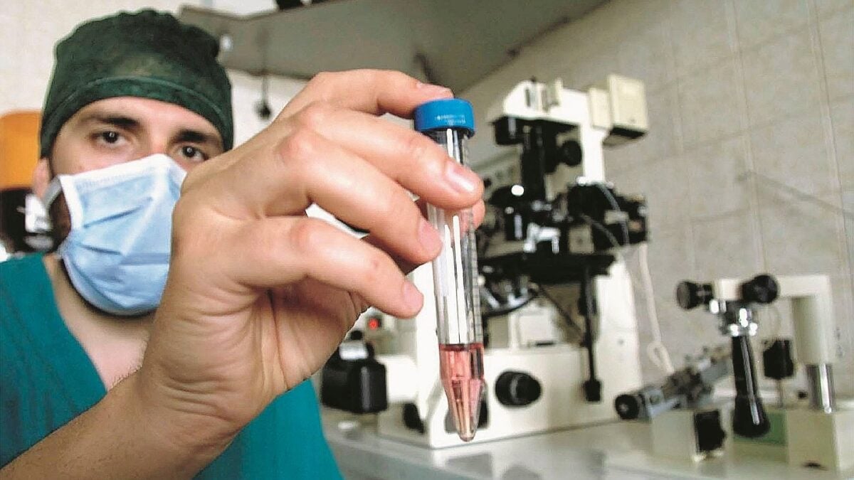 Con la fecondazione assistita sono precipitate le adozioni