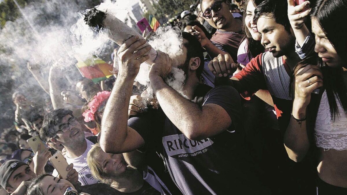 Finisce il mito della droga «buona». La cannabis fa male e può uccidere