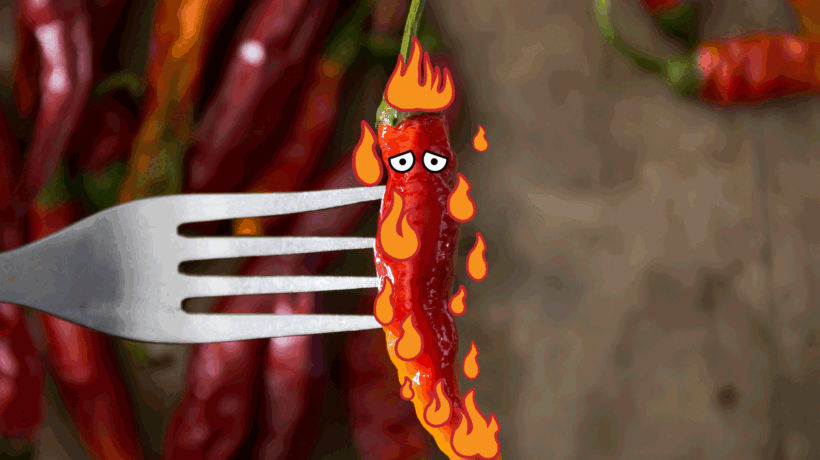 Rosso piccante. Brucia il palato, però fa bene. Ecco le virtù del peperoncino