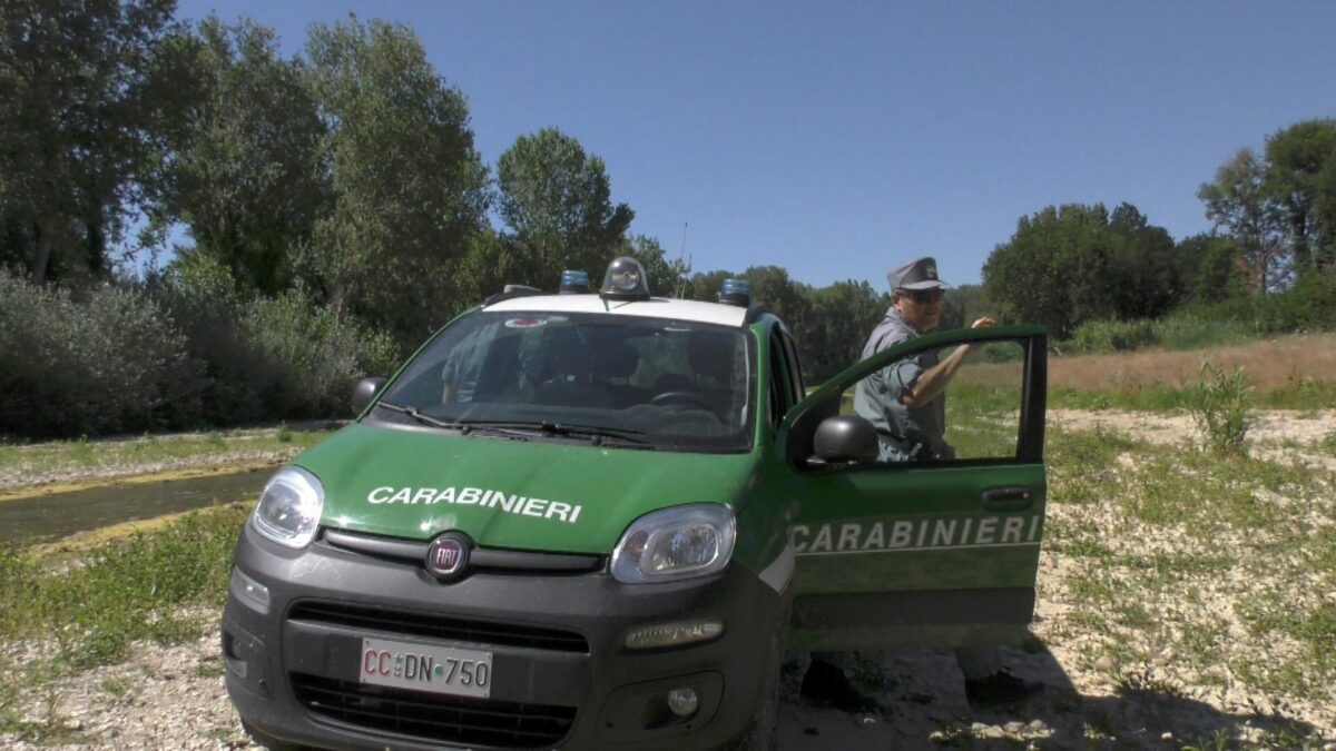 Grazie a Renzi il concorso per il corpo forestale è diventato un’odissea