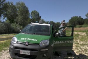 Grazie a Renzi il concorso per il corpo forestale è diventato un’odissea
