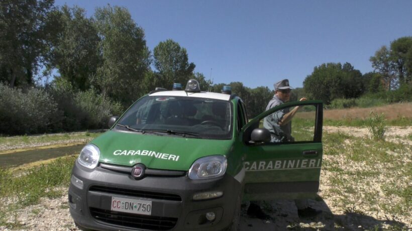 Grazie a Renzi il concorso per il corpo forestale è diventato un’odissea