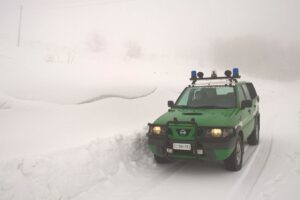 Il Tar boccia l’abolizione della Forestale imposta dalla Madia