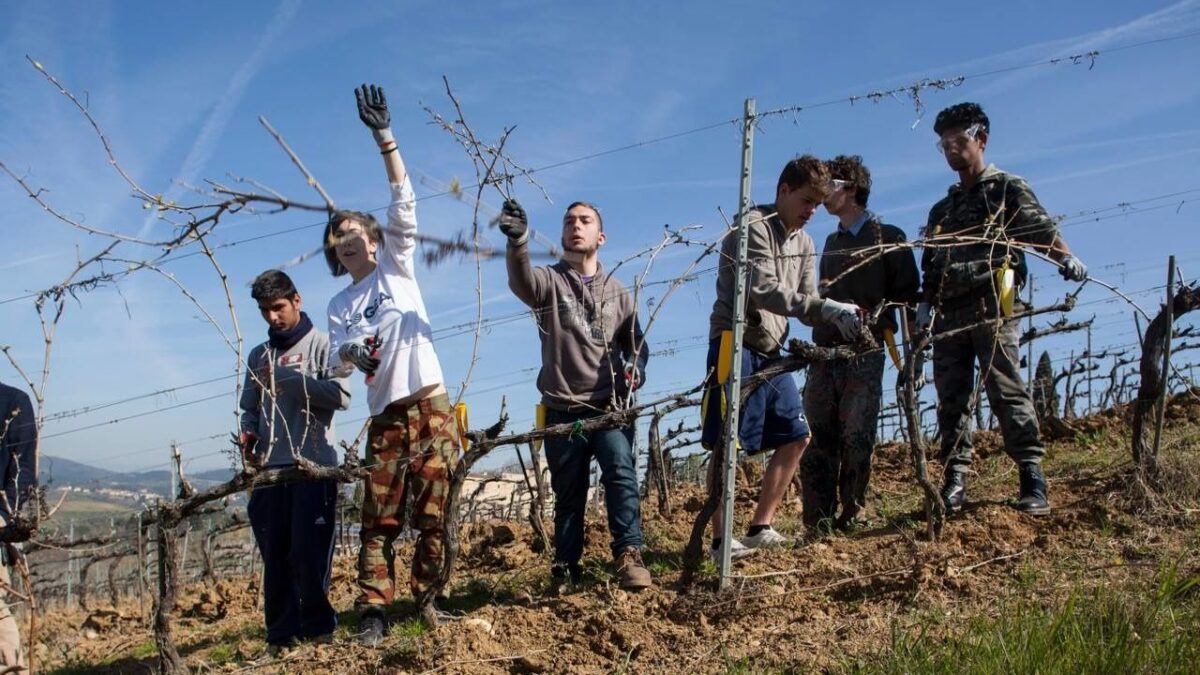 «Con zappe e trattori insegno la legalità»