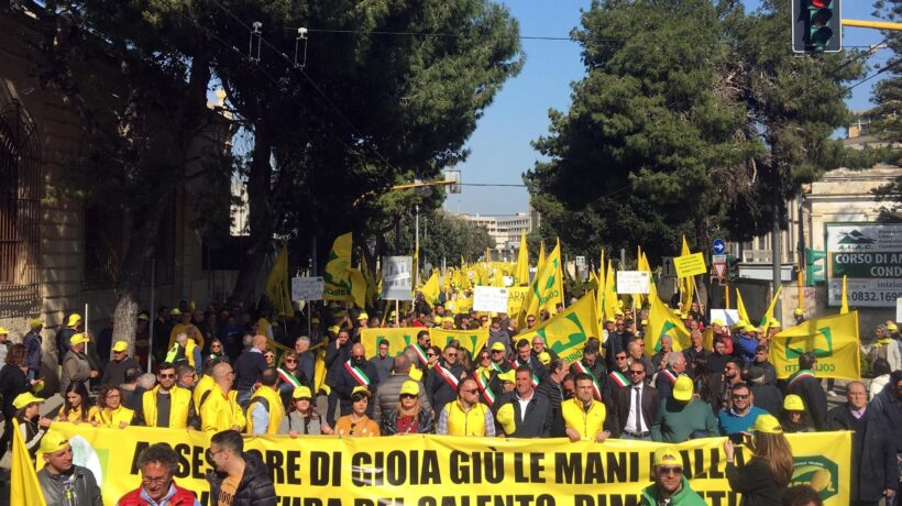 Invece di pensare agli agricoltori Coldiretti chiede nuovi immigrati