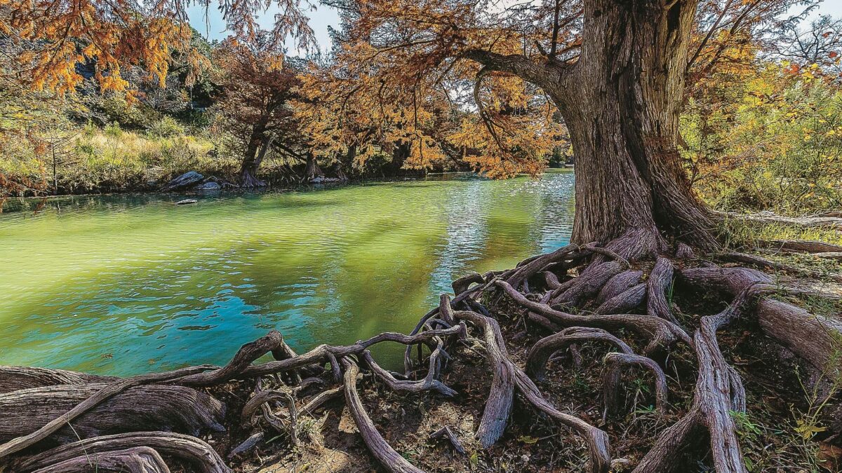 Elogio delle radici. Altro che «cittadini del mondo». Abbiamo bisogno di appartenenza
