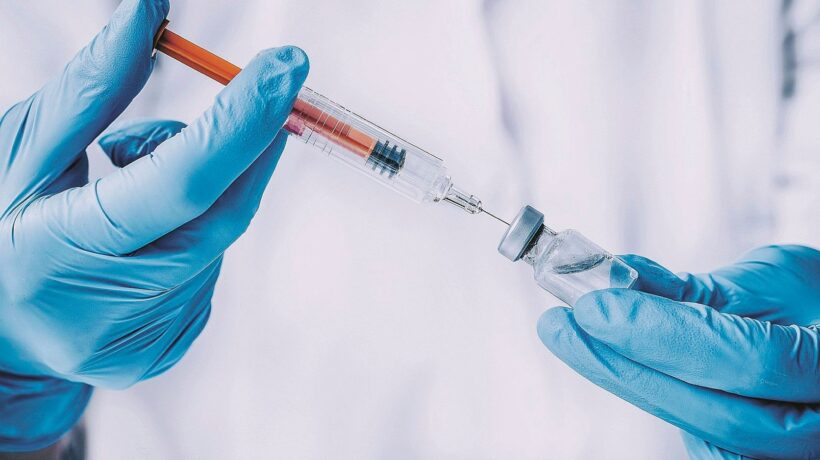 Moduli, fatture e impronte dentarie. Così si fabbrica la morte in provetta
