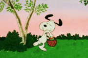 Grandi o mignon, non c’è Pasqua senza uova