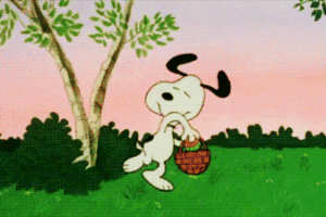 Grandi o mignon, non c’è Pasqua senza uova