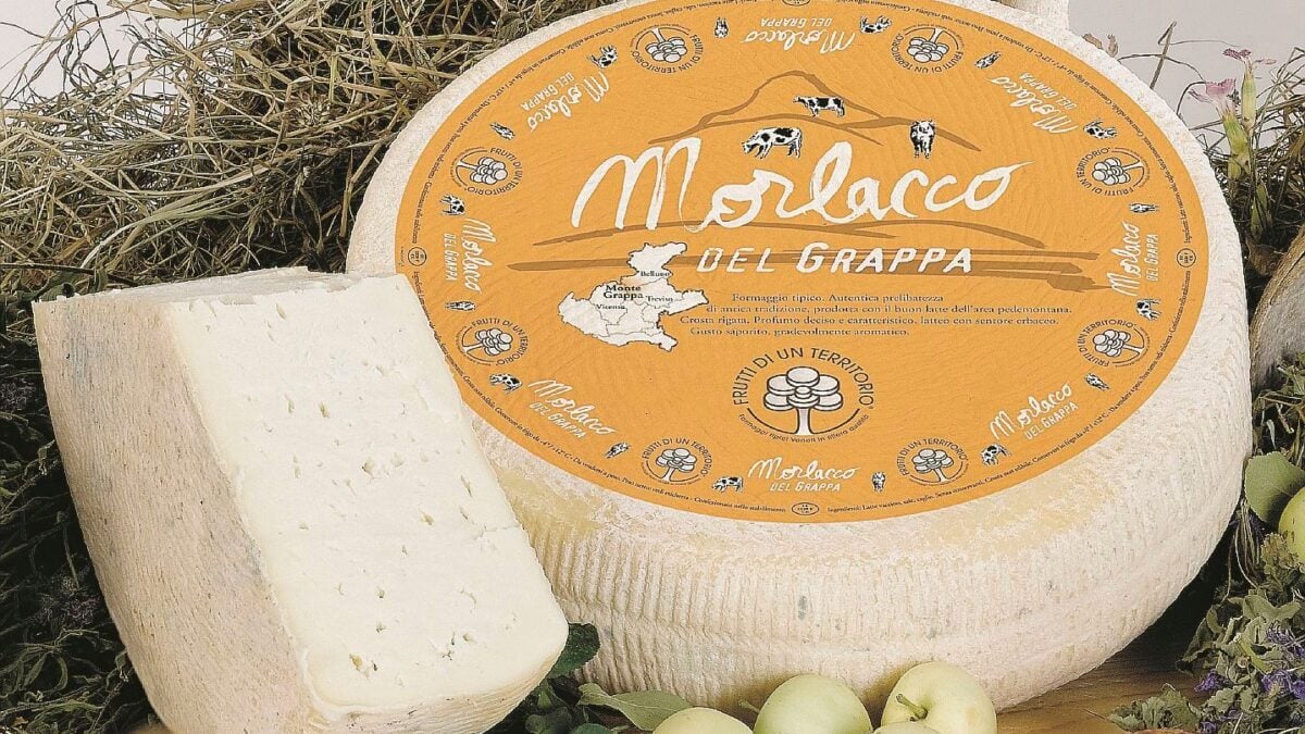 Morlacco, il formaggio dei nomadi che trovò casa sul monte Grappa