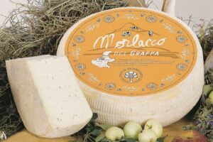 Morlacco, il formaggio dei nomadi che trovò casa sul monte Grappa