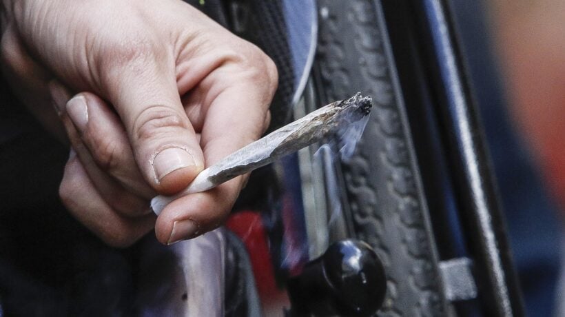 Anche la Cassazione chiude i negozi di cannabis «light»