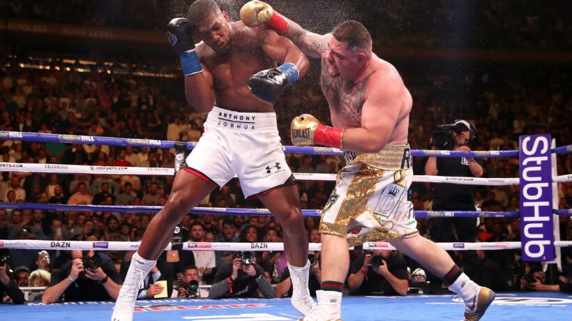 Il ciccione, il tossico e lo scalmanato. La boxe è ritornata un pugno di cattivi