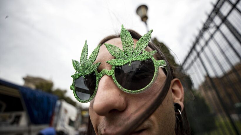 I venditori di cannabis preparano la causa