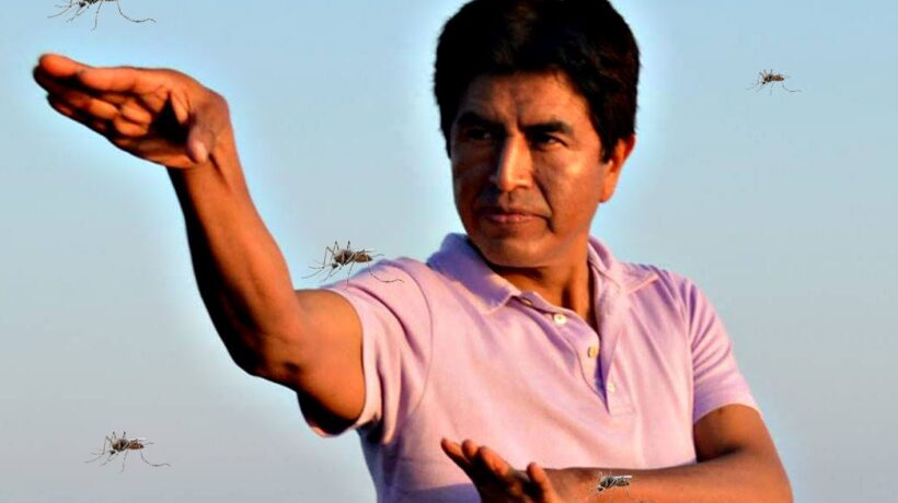 «Quest’estate sonni sereni senza zanzare»