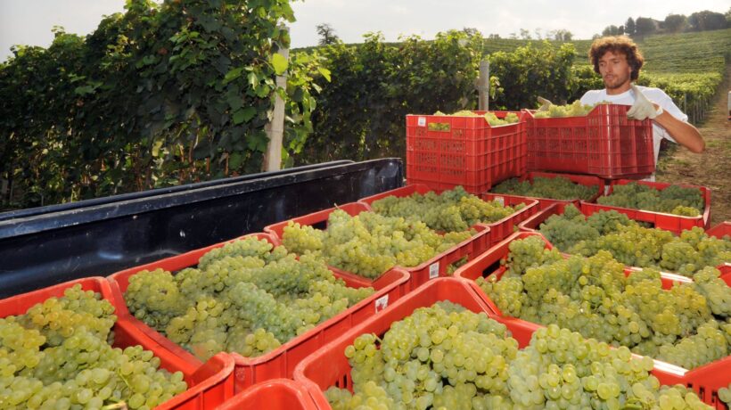 Fulvio Ervas: «Il Prosecco insegna che anche le crisi sono opportunità»