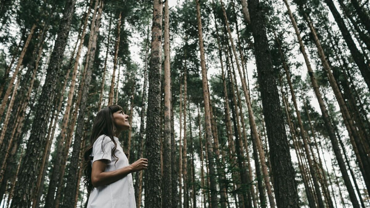 L’ultimo trend di viaggio è il «forest bathing». Un weekend a tu per tu con la natura