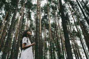 L’ultimo trend di viaggio è il «forest bathing». Un weekend a tu per tu con la natura