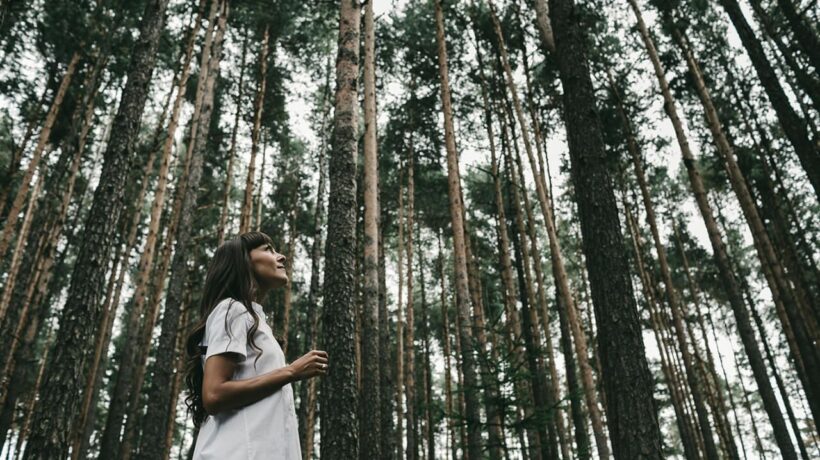L’ultimo trend di viaggio è il «forest bathing». Un weekend a tu per tu con la natura