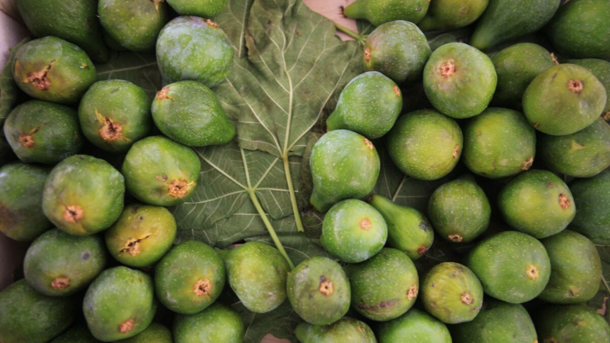 Fresco o secco, è un frutto sano. Ecco come sfruttare le sue proprietà «fichissime»