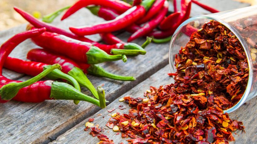 Peperoncino, piccante scoperta di Colombo