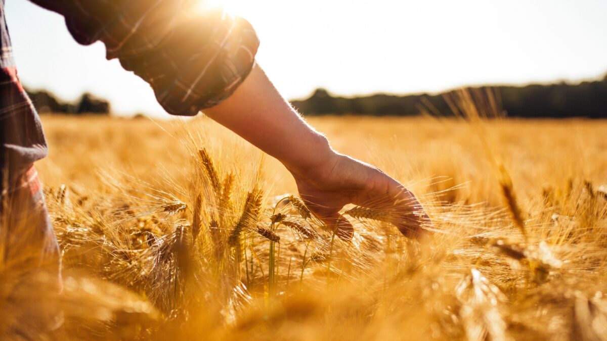 Il clima sulla Terra cambia da sempre. Il caldo porta più benefici che danni
