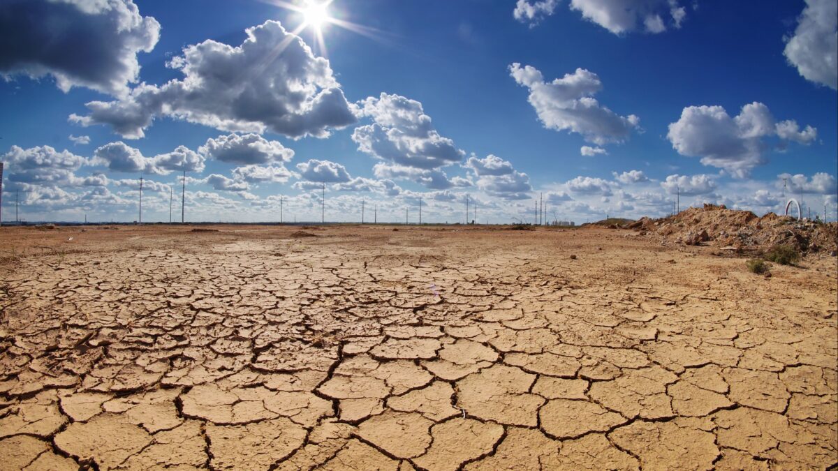 Adesso i gretini invocano il bavaglio green