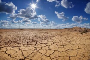 Adesso i gretini invocano il bavaglio green