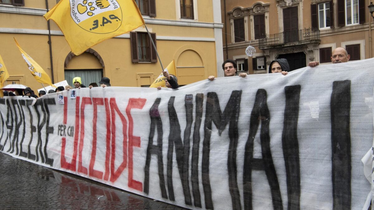 L’ambientalismo finisce fiocinato dal giudice
