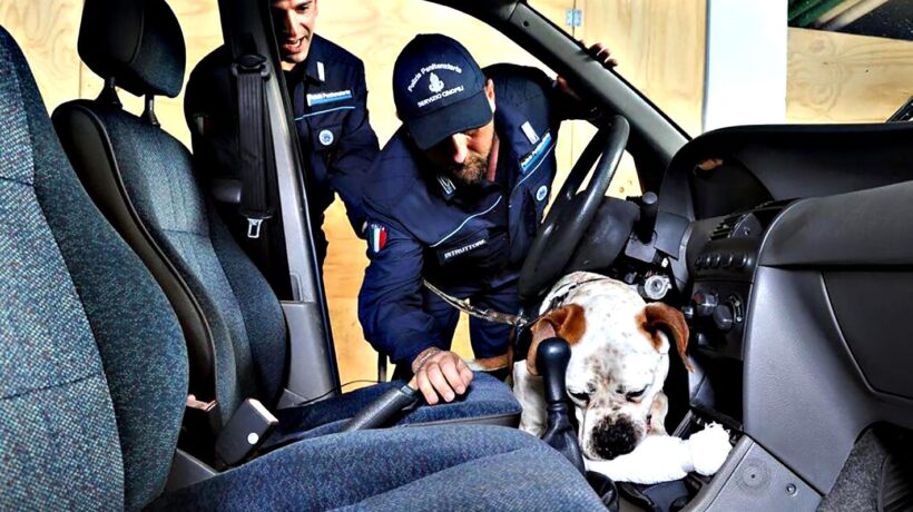 «Con 8 mesi di corso i cani abbandonati diventano poliziotti»