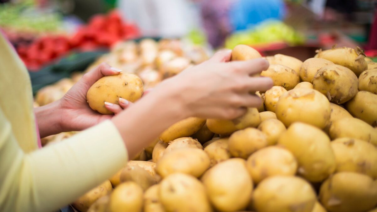 Patate africane spacciate per nostre. A giudizio in 14 per la mega truffa