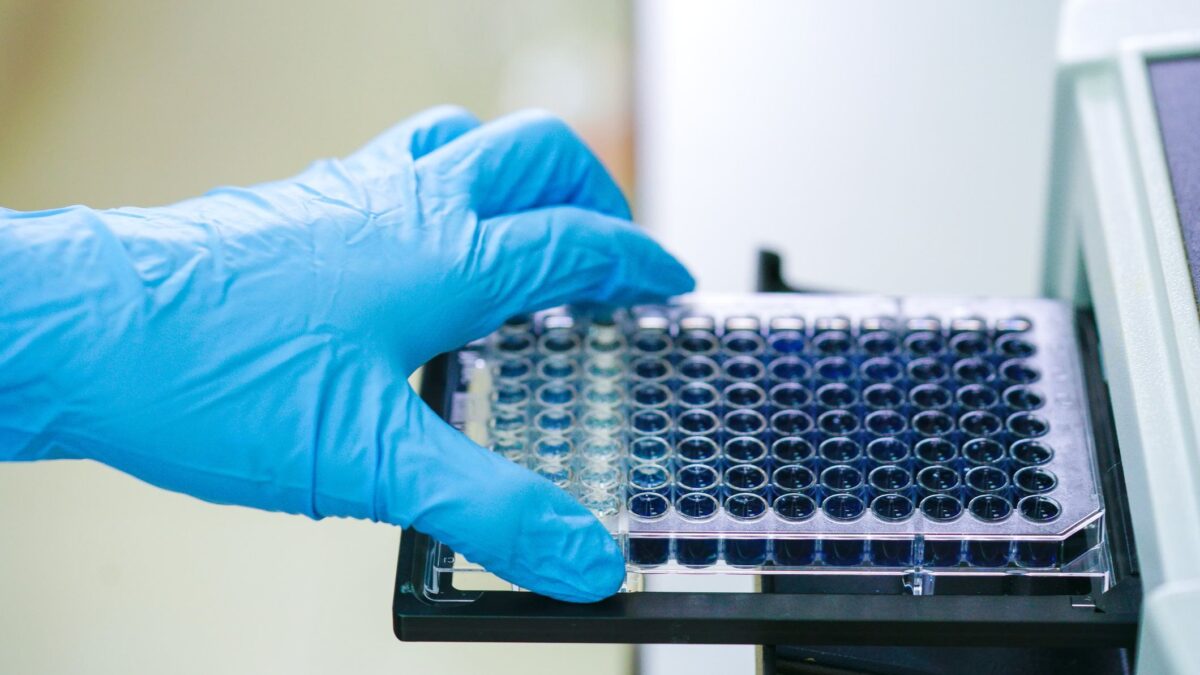 Senza testamento biologico i giudici non possono far morire le persone