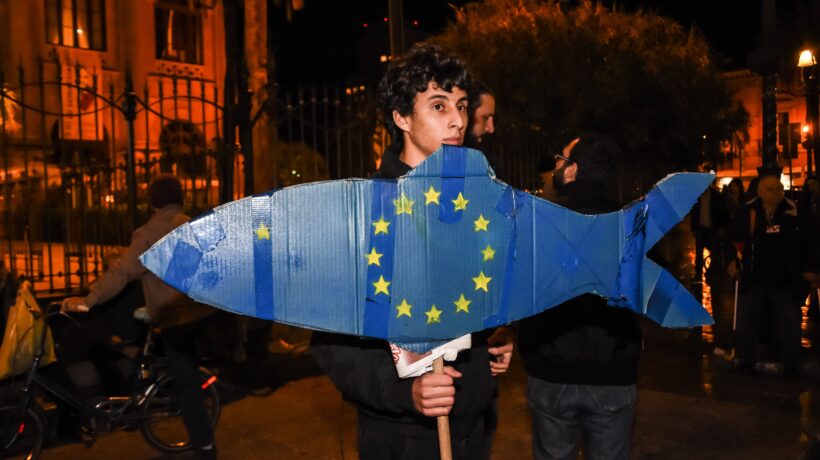 Sardine sfasate e Greta boys, tutti fan del Pd