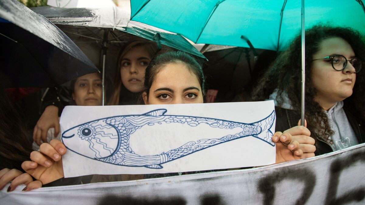 «Avvenire» serve ai bimbi le sardine rosse