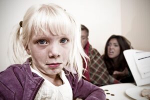 «Relazioni false per togliere i figli ai genitori. Dovevamo tutelarli da pedofili e cannibali»