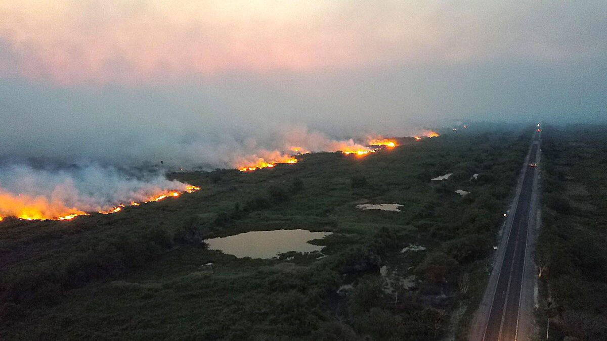 «Roghi appiccati dalla Ong pro Amazzonia»