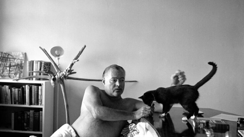 L’ultimo capolavoro di Hemingway è l’esercito di gatti che abita casa sua