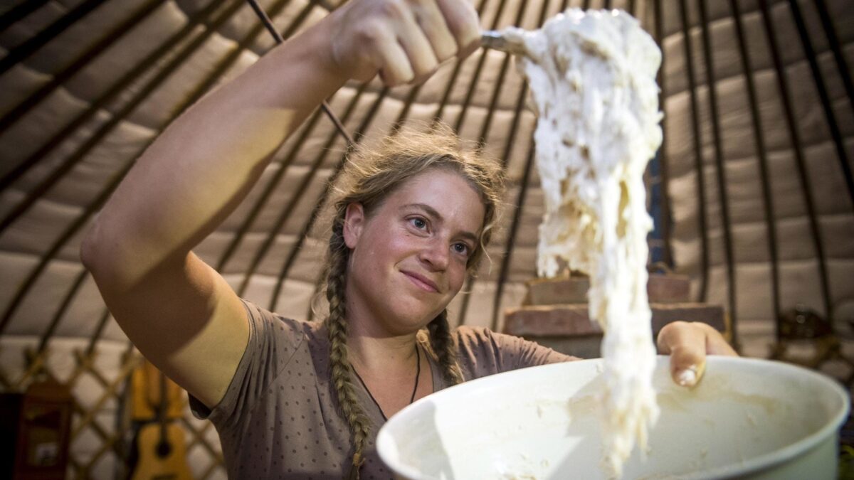 Lievito quotidiano. In panetti o liquido, è l’elemento base per pane, dolci e salati