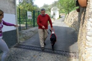 La prova della nostra resa all’islam è l’apartheid contro i cani per ciechi