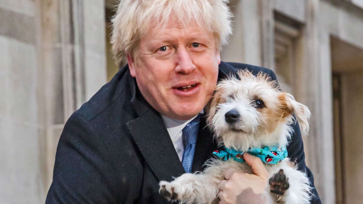 La sinistra snob sbaglia le previsioni poi attacca i poveri perché votano Boris