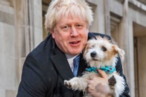 La sinistra snob sbaglia le previsioni poi attacca i poveri perché votano Boris